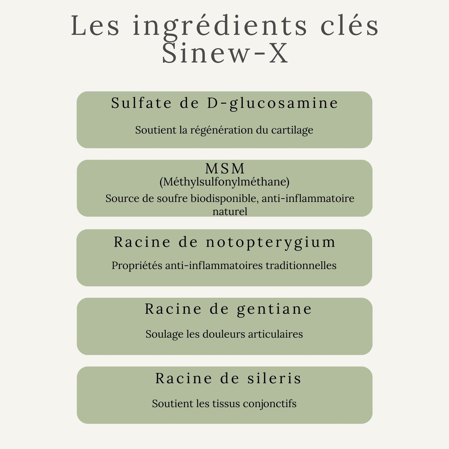 Ingrédients clés du SINEW-X : glucisamine, MSM et autres extraits naturels anti-inflammatoires