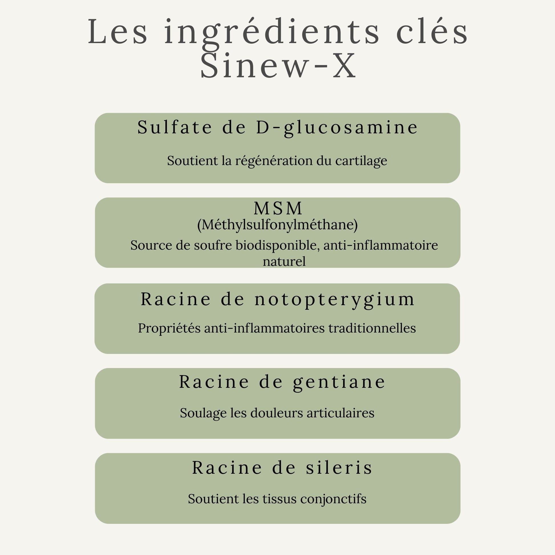 Ingrédients clés du SINEW-X : glucisamine, MSM et autres extraits naturels anti-inflammatoires