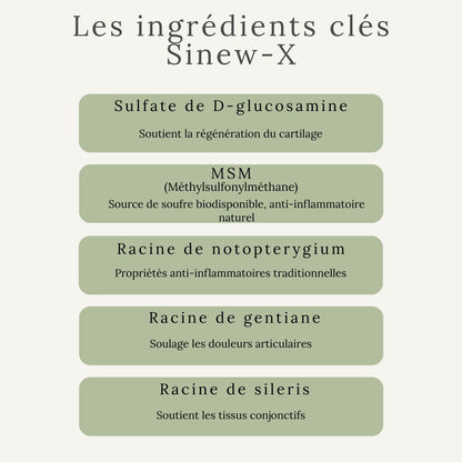 Ingrédients clés du SINEW-X : glucisamine, MSM et autres extraits naturels anti-inflammatoires