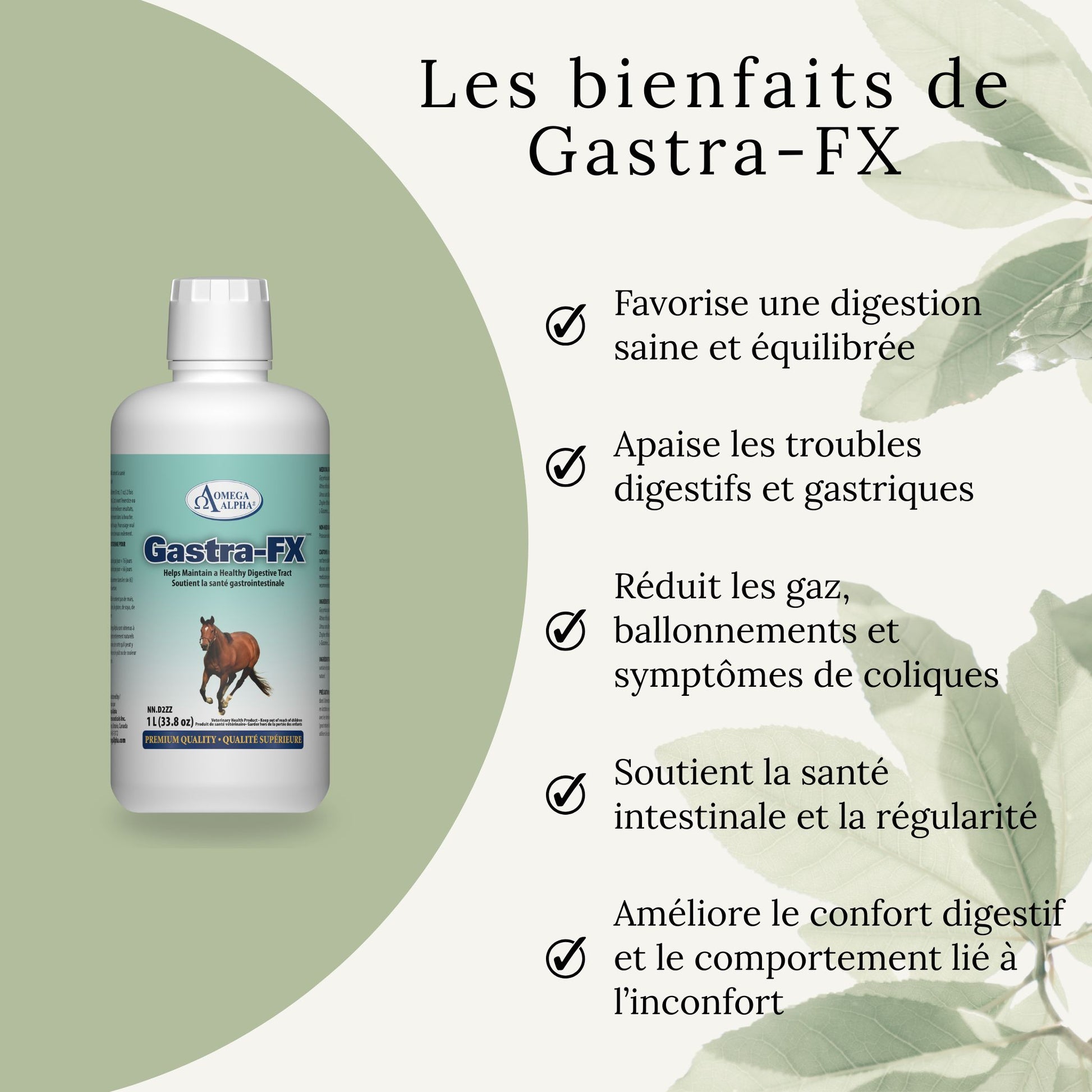 Bienfaits du Gastra-FX pour chevaux : apaise l’estomac, soutient la muqueuse gastrique, favorise une digestion saine
