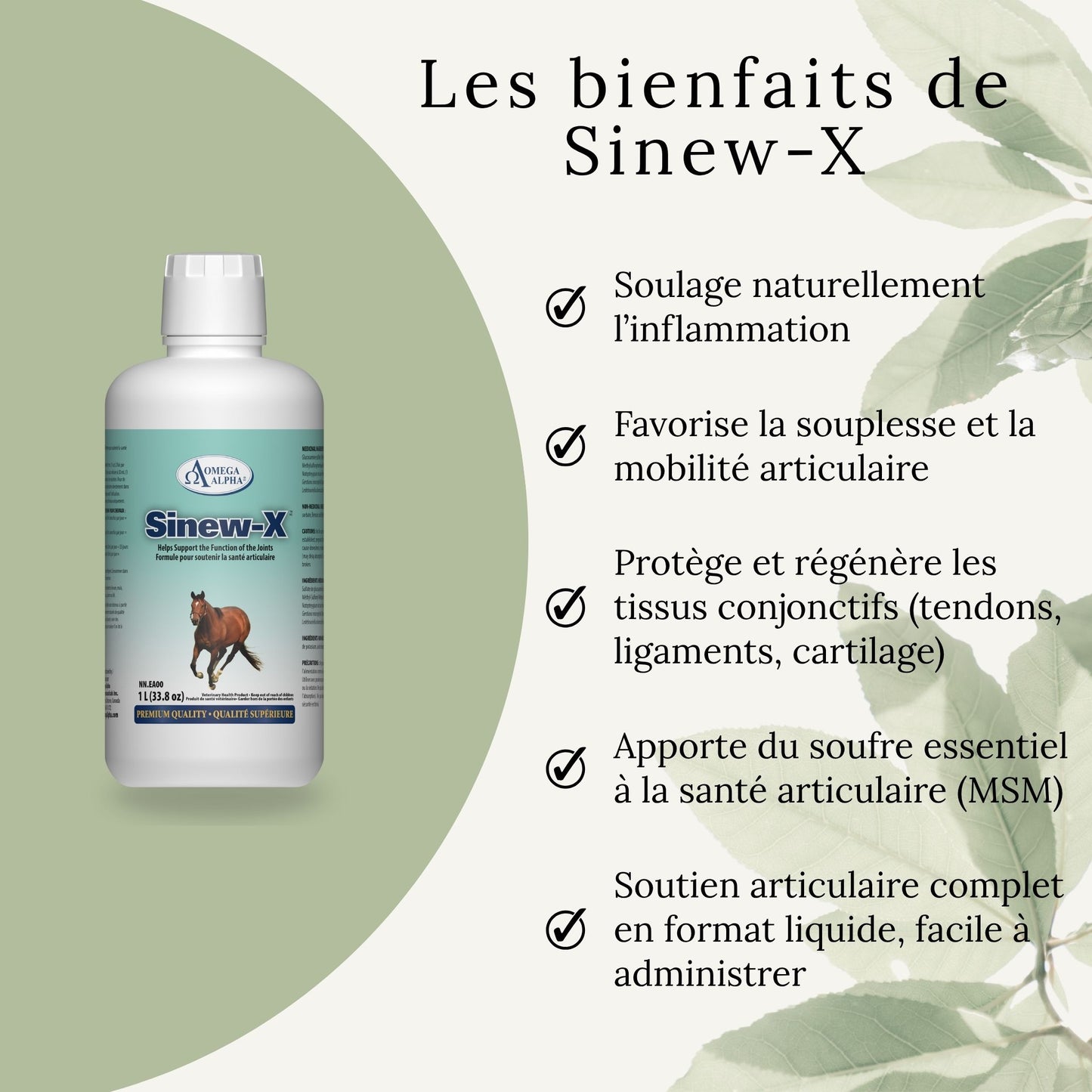Bienfaits du SINEW-X : soulage l'inflammation, améliore la mobilité, soutient la santé des articulations et tendons chez le cheval