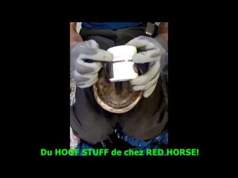 Application de Hoof-Stuff dans une pourriture profonde de fourchette