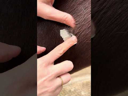 Application du cataplasme réparateur Nellumbo sur une plaie chez le cheval