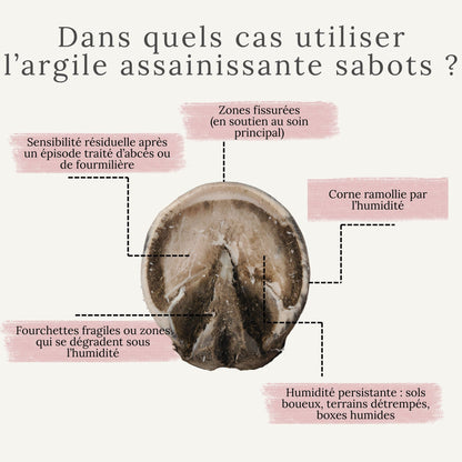 Schéma illustrant les situations où l’argile assainissante sabots peut être utilisée