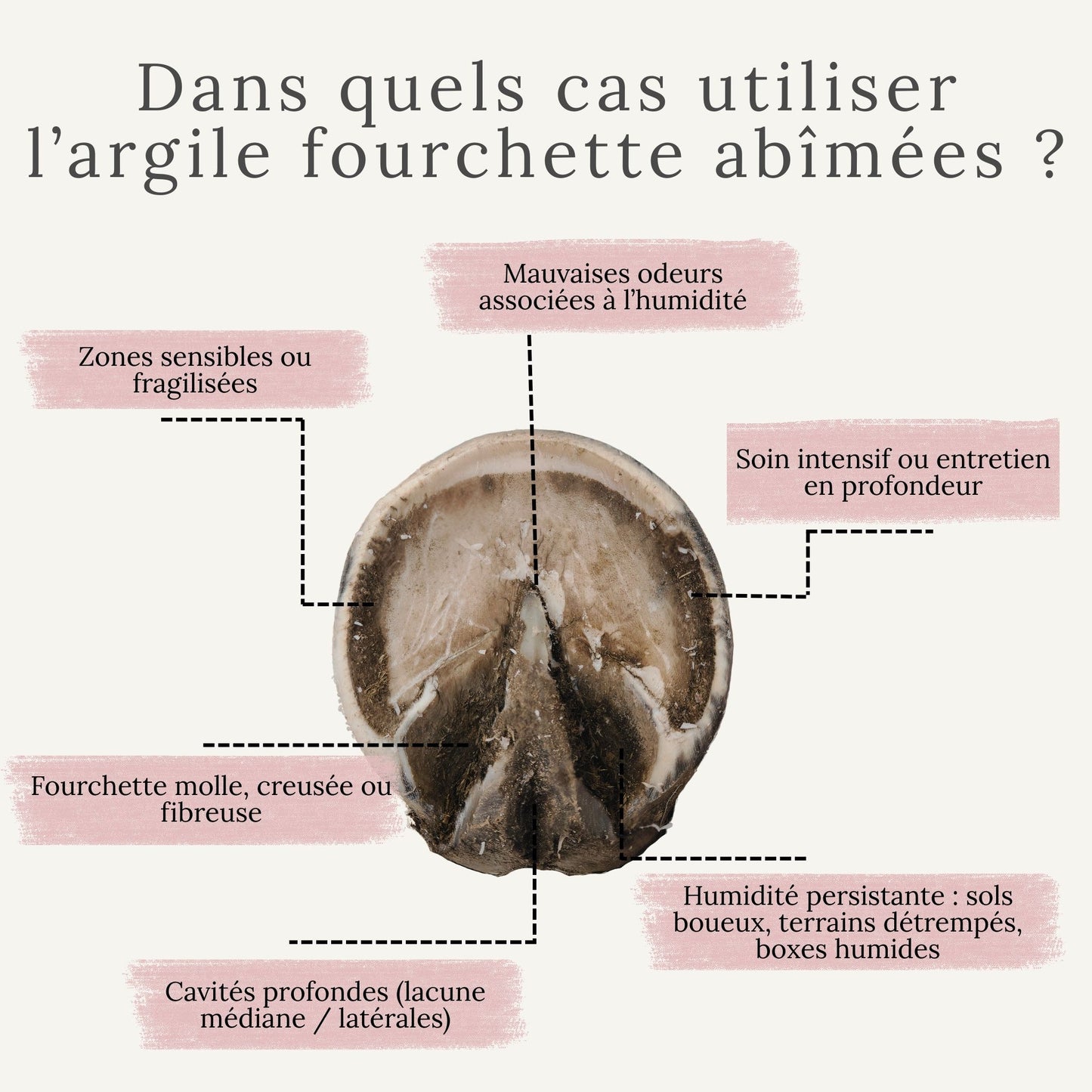 Schéma montrant dans quels cas utiliser l’argile fourchettes abîmées sur le sabot du cheval